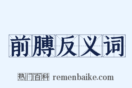 前膊反义词是什么意思的图片